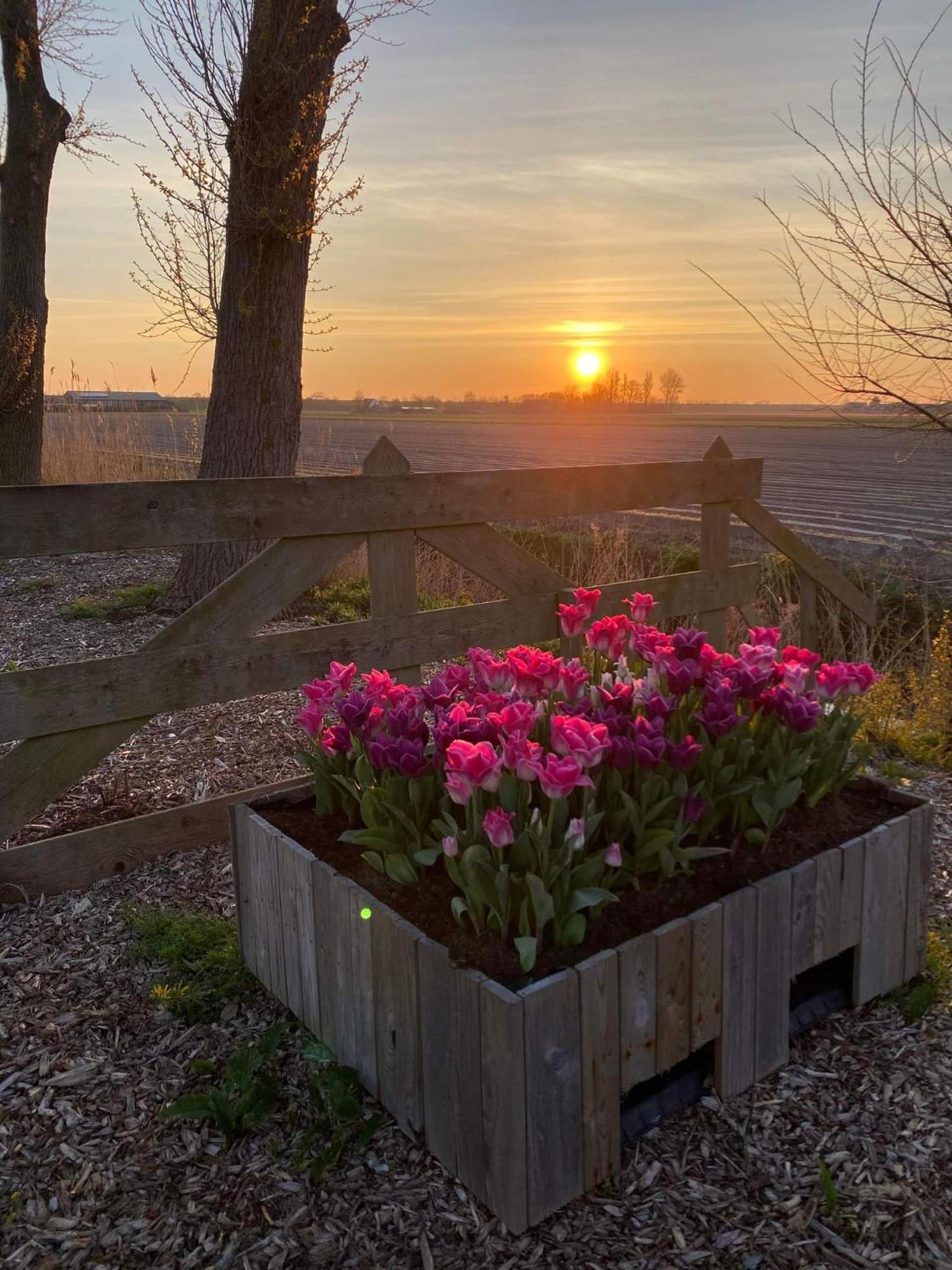 Camping De Tulpenweide Lege Kampeerplaats, Lege Plaats Op Het Gras Zonder Bed Breezand Exterior foto