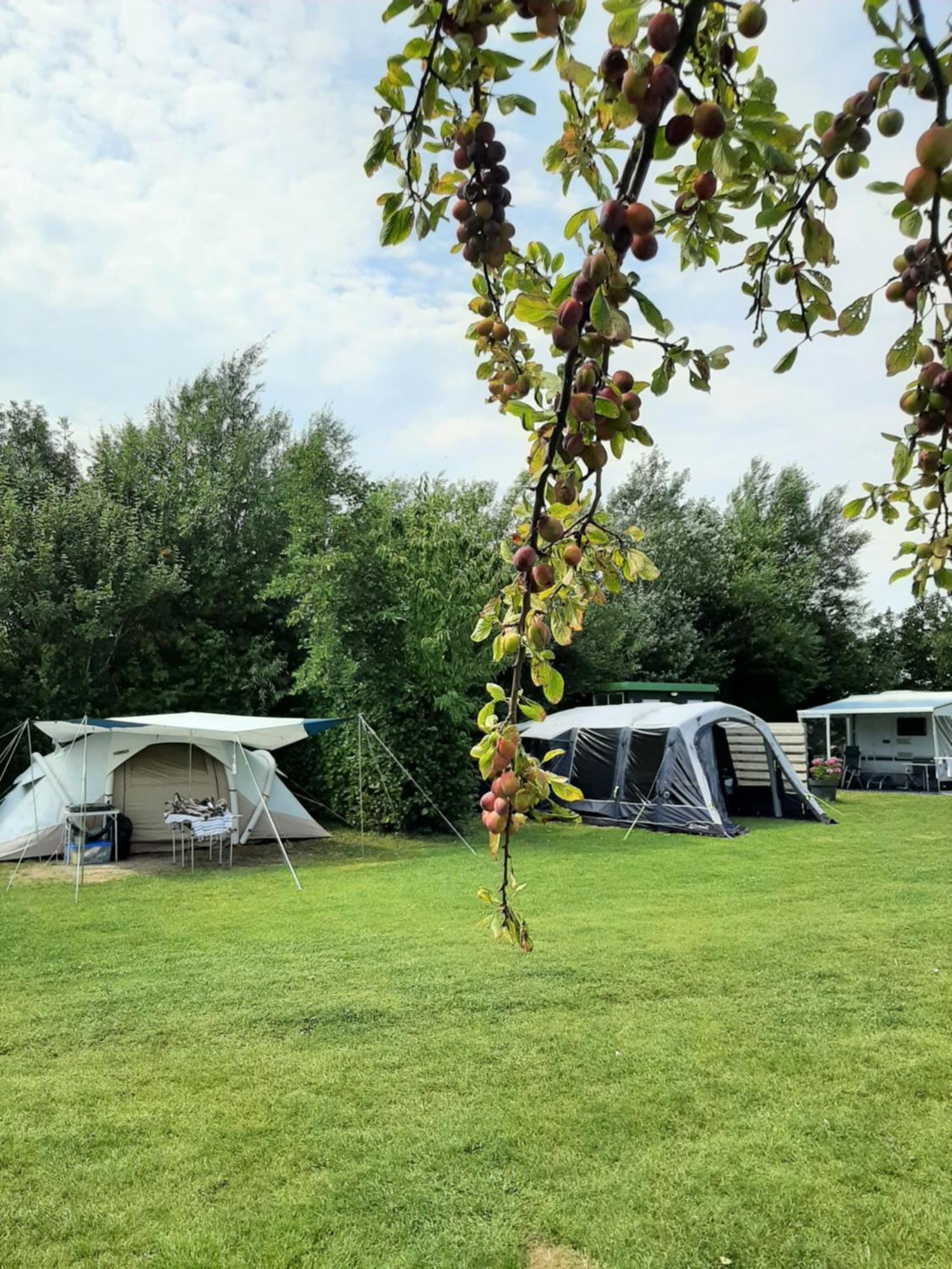 Camping De Tulpenweide Lege Kampeerplaats, Lege Plaats Op Het Gras Zonder Bed Breezand Exterior foto