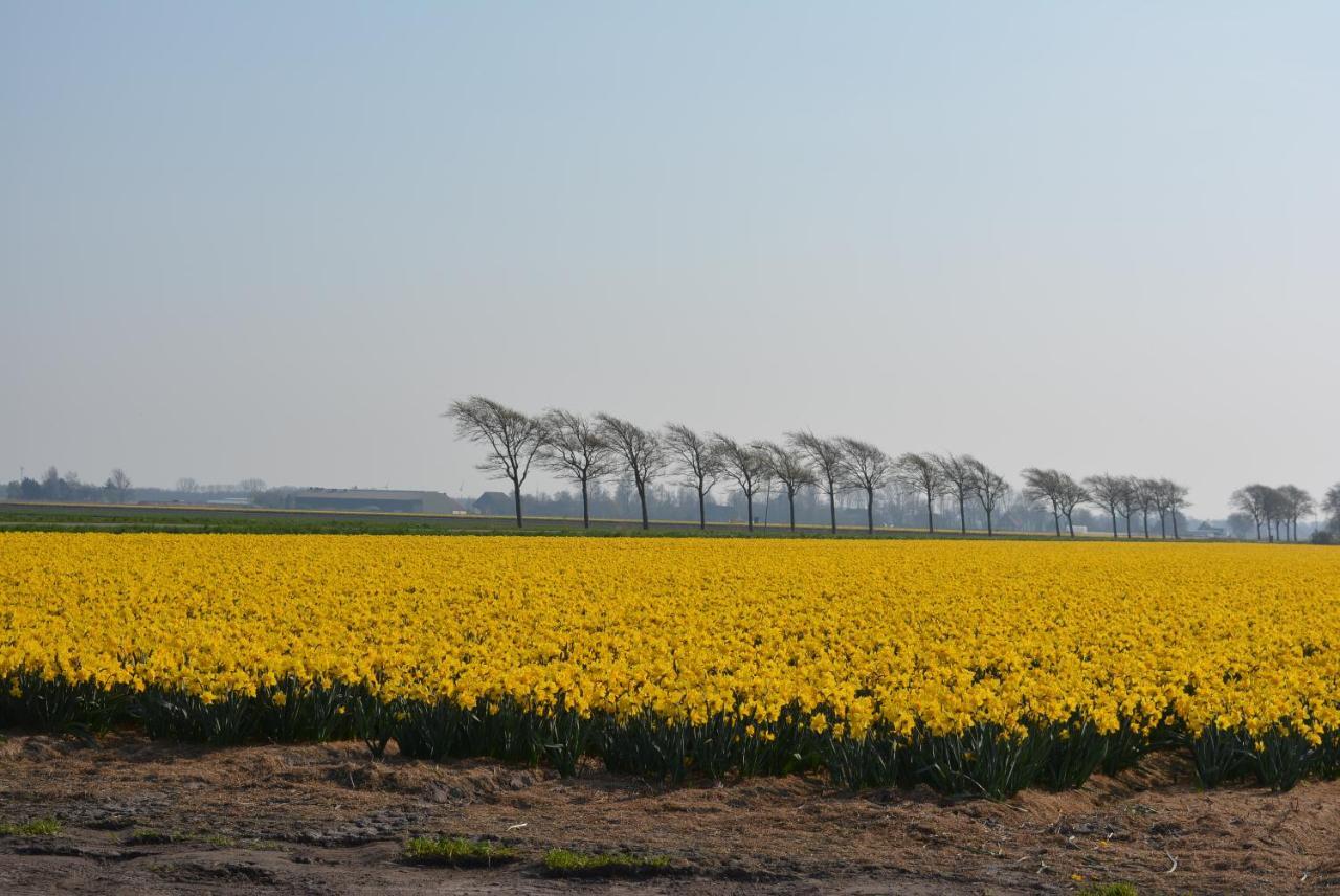 Camping De Tulpenweide Lege Kampeerplaats, Lege Plaats Op Het Gras Zonder Bed Breezand Exterior foto