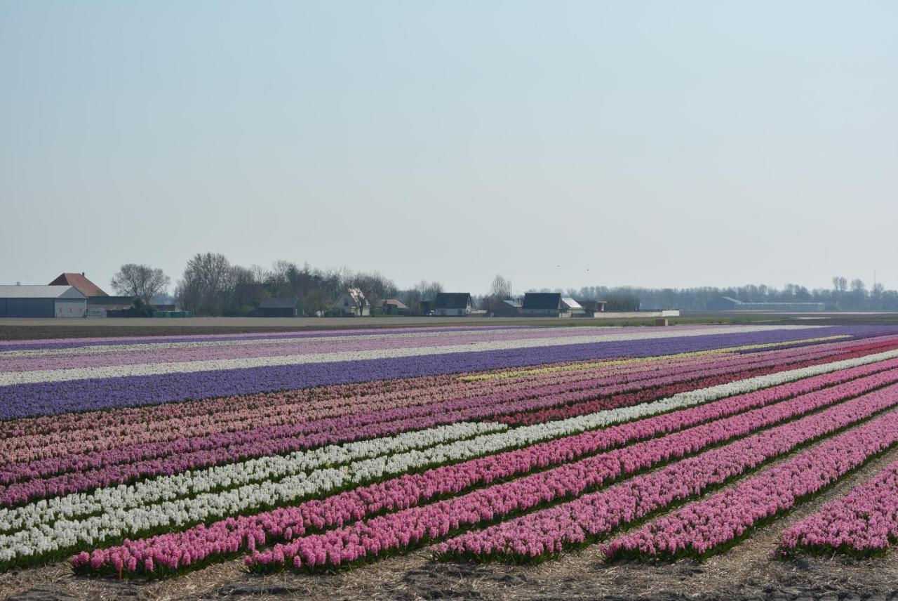 Camping De Tulpenweide Lege Kampeerplaats, Lege Plaats Op Het Gras Zonder Bed Breezand Exterior foto
